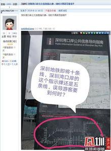 深圳湾网红最新爆料新闻,揭秘网红圈幕后真相与惊人内幕  第3张