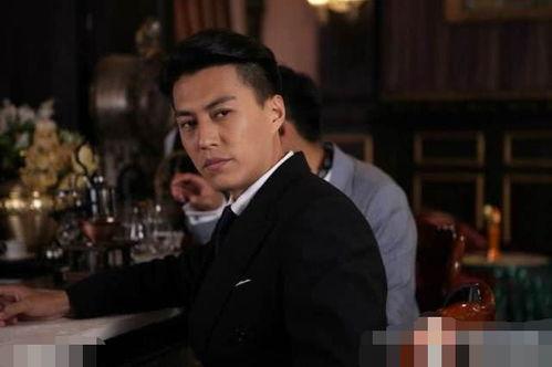 靳东上海滩在线观看,在线重温传奇人生  第3张