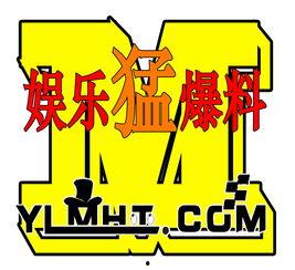 娱乐爆料墙,明星幕后故事大揭秘  第2张