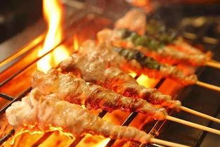 烧鸟原料爆料方法视频,视频教学带你轻松入门