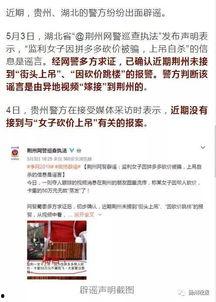 西安事件爆料视频,揭秘现场视频背后的真相与争议  第3张