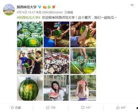 陕西免费吃瓜大学