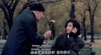 秋电影网在线观看,在线观影新体验，尽享视听盛宴