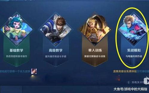 王者神偷最新爆料视频,揭秘最新爆料视频中的神秘元素与剧情前瞻  第1张