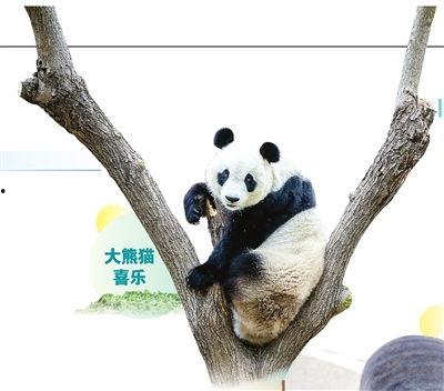 天津动物园爆料事件最新,揭秘动物福利与饲养真相  第2张