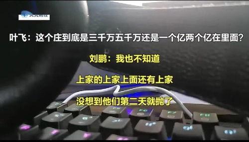 叶飞爆料说的什么话视频,揭秘内幕交易惊人内幕  第1张