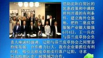 最新辽阳爆料新闻事件,神秘事件引发社会关注  第1张