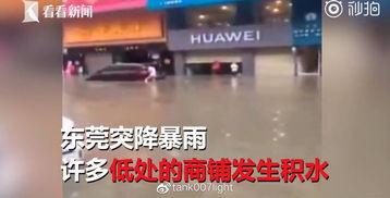 南京探店爆料事件视频,揭秘网红美食背后的真相  第3张