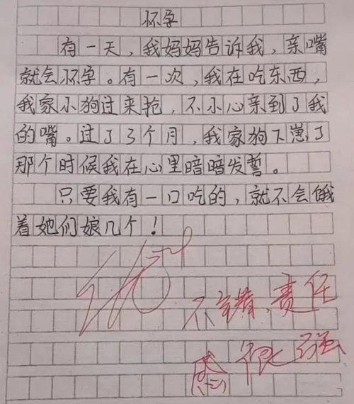 娱乐吃瓜酱小学生作文,小学生眼中的娱乐圈风云  第3张