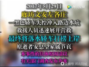 文安网友爆料视频最新一期,揭秘最新一期惊人内幕