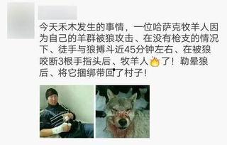 牧羊人被爆料完整版视频,惊人内幕曝光