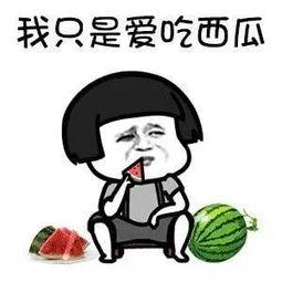 网红打假吃瓜是谁啊图片,真相与争议并存