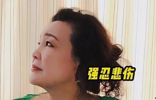 孟贺爆料视频最新版,事件真相与幕后黑幕全解析 第2张 孟贺爆料视频最新版,事件真相与幕后黑幕全解析 第2张