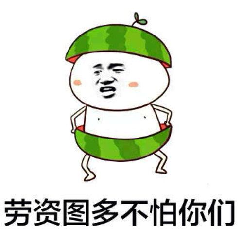 娱乐吃瓜君熊猫头,娱乐吃瓜君带你领略萌宠魅力 第2张 娱乐吃瓜君熊猫头,娱乐吃瓜君带你领略萌宠魅力 第2张