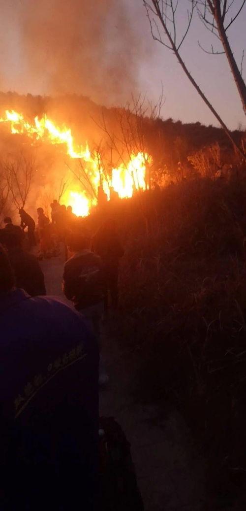 狮子山爆料视频大全集最新,揭秘幕后真相,带你走进事件核心 第3张 狮子山爆料视频大全集最新,揭秘幕后真相,带你走进事件核心 第3张