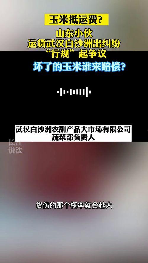 爆料白沙洲克扣运费视频,揭露黑幕背后的惊人真相 第2张 爆料白沙洲克扣运费视频,揭露黑幕背后的惊人真相 第2张