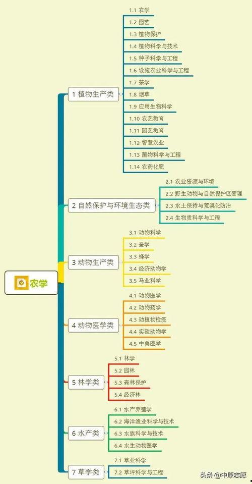 月饼新闻爆料视频大全集,揭秘中秋佳节背后的故事与真相