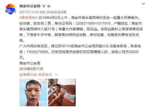 金沙经纪人爆料事件视频,揭秘幕后真相与行业乱象