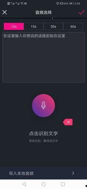 爆料字幕怎么做的啊视频,视频内容到文字的转换技巧