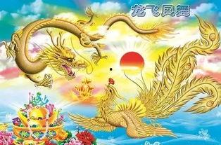龙飞凤舞在线观看,在线观看，领略中华武术之美