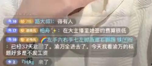 冷风爆料斗鱼视频,冷风爆料揭示幕后真相
