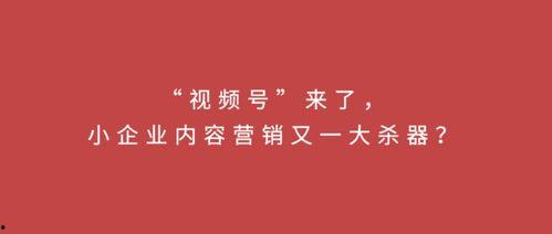 生活小视频爆料文案短句,那些爆笑瞬间背后的温馨故事