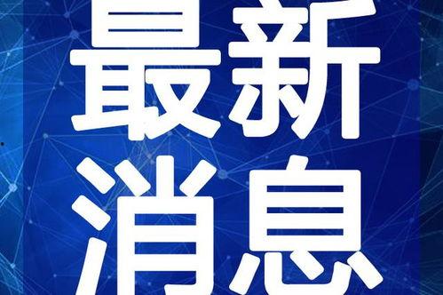 德州新闻采访爆料视频最新,揭秘重大事件背后真相