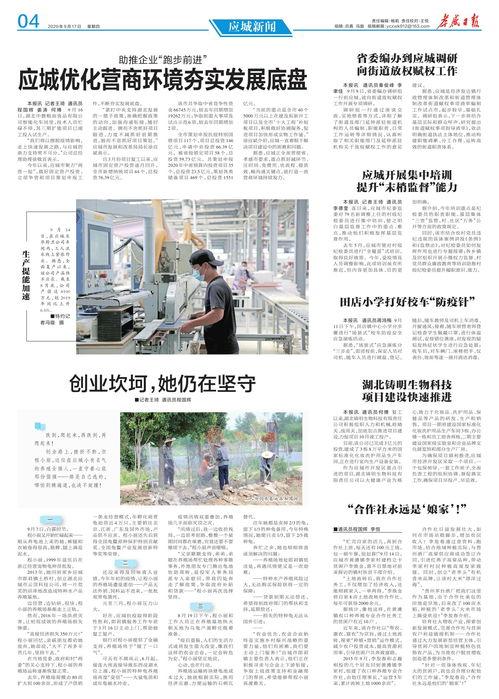 今日应城新闻爆料视频,最新爆料视频揭示惊人事件