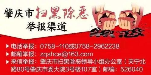 肇庆四会新闻爆料案件,惊曝惊人真相，案情进展追踪