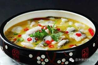 重庆外卖酸菜鱼爆料视频,揭秘网红美食背后的真相  第2张