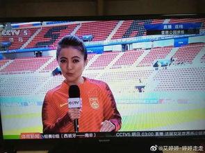 央视爆料足球主播视频 第2张 央视爆料足球主播视频 第2张