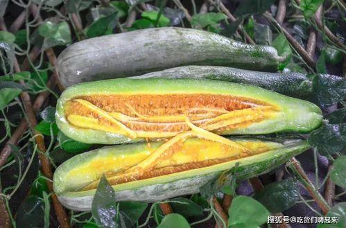 静海吃瓜的网红叫什么,揭秘网络红人的魅力与影响力  第2张