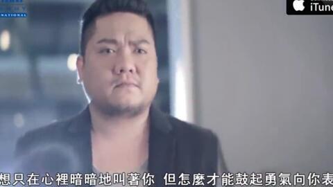 胖熊电影在线观看,欢乐时光，温馨相伴