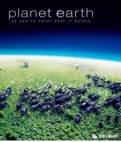 地球脉动在线观看,在线探索自然奇观的视觉盛宴 第2张 地球脉动在线观看,在线探索自然奇观的视觉盛宴 第2张