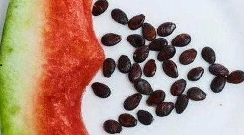 免费吃瓜 吐籽,揭秘瓜界新潮流