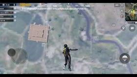 pubg国际体验服最新爆料,最新Pubg国际体验服爆料，全新内容抢先看！  第3张