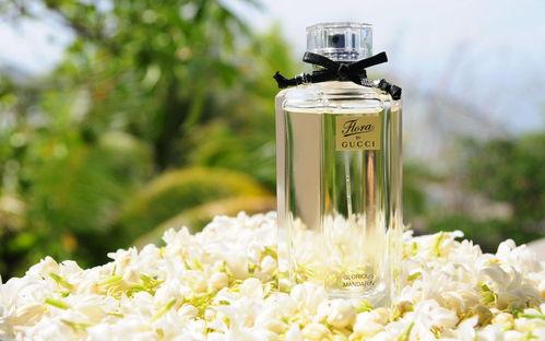 香水高清在线观看