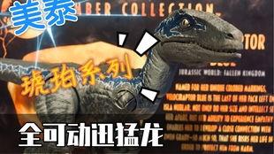 迅猛龙视频爆料,惊心动魄的野外生存瞬间