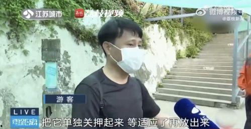 网红吃瓜被打后续,被打真相揭露，网友热议不断