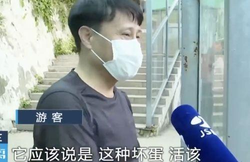 网红吃瓜被打后续,被打真相揭露，网友热议不断  第3张