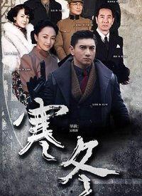 寒冬电视剧全集在线观看,揭秘剧情高潮与情感纠葛