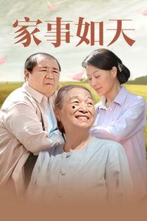 家事在线观看,揭秘家庭生活的温馨瞬间  第2张