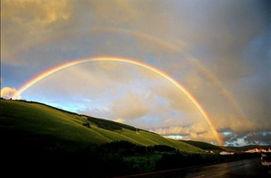 彩虹在线观看,一场视觉与情感的盛宴  第1张