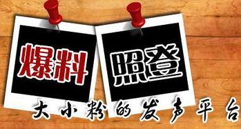 新闻爆料有些什么平台,新闻爆料背后的热门平台大盘点  第1张