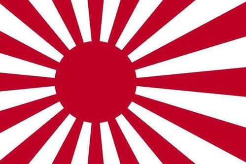 太阳旗在线观看,在线观看，揭秘历史风云中的民族精神