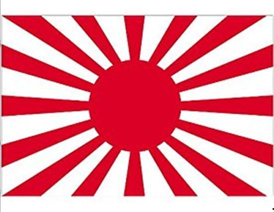 太阳旗在线观看,在线观看，揭秘历史风云中的民族精神  第2张