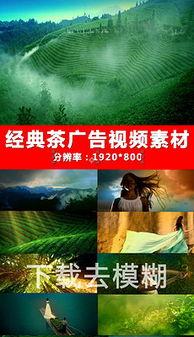 茶叶爆料视频素材下载网站,热门下载网站大起底
