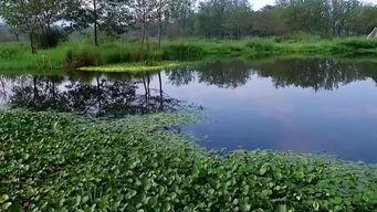 风景最新爆料图片高清壁纸,最新高清壁纸风景图赏析  第2张