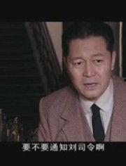 暗算全集在线观看,揭秘神秘密码，揭秘特工世界