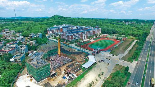 儋州爆料新闻事件最新进展,真相逐步浮出水面 第3张 儋州爆料新闻事件最新进展,真相逐步浮出水面 第3张